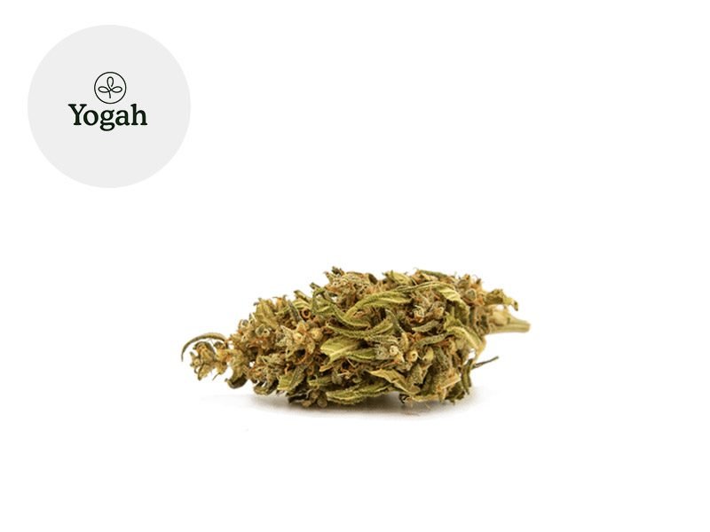 Fleurs CBD Fleur Strawberry du Luberon CBD Sous serre 8.45% Yogah