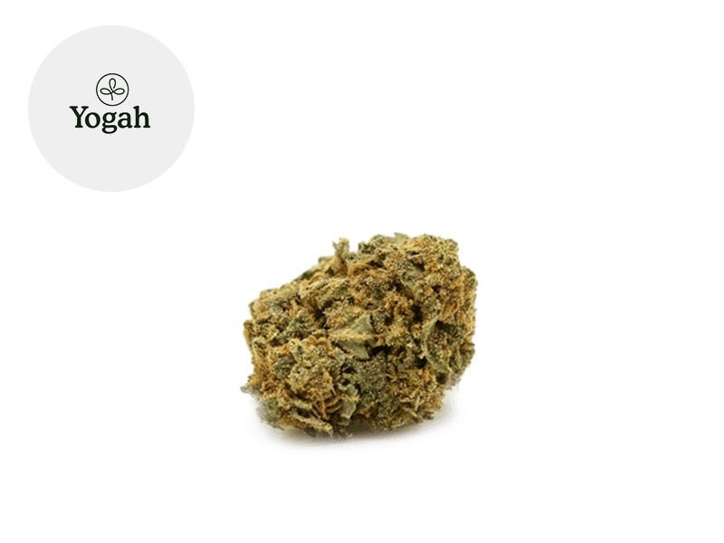 Fleurs CBD Fleur Super Skunk CBD Sous serre 8% Yogah