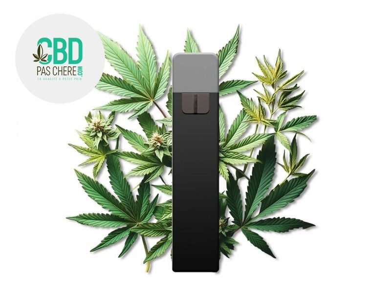 Puff Puff Cannabis 95% CBD CBD Pas Chère