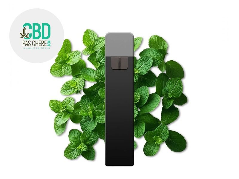 Puff Puff Menthe 95% CBD CBD Pas Chère
