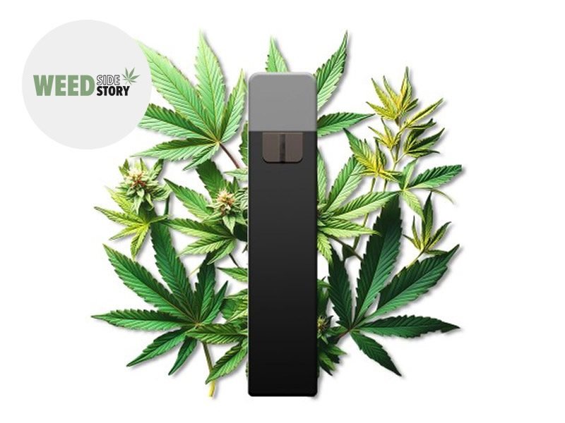 Puff Puff Cannabis 95% CBD Weed Side Story