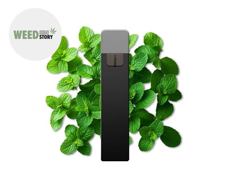 Puff Puff Menthe 95% CBD Weed Side Story