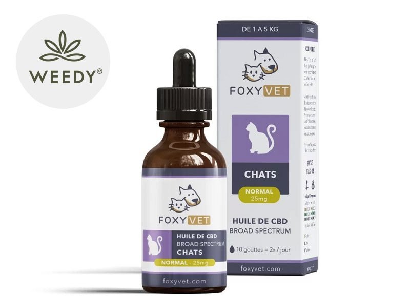 Huile CBD pour animaux Huile CBD Chat 2.5% Foxyvet 30ml