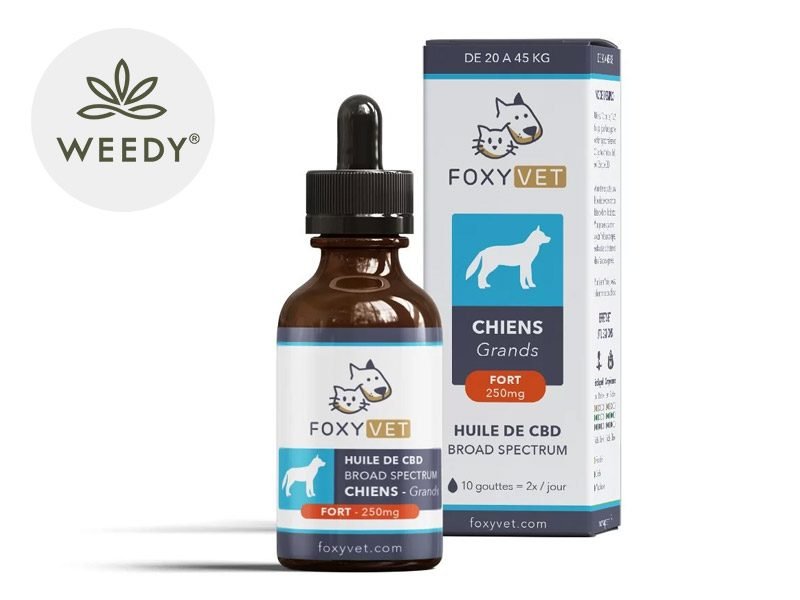 Huile CBD pour animaux Huile CBD Chien 10% Foxyvet 30ml