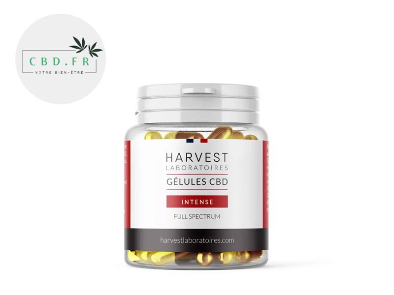 Capsules CBD Gélules CBD (1500mg) Cure Intense Harvest Laboratoires