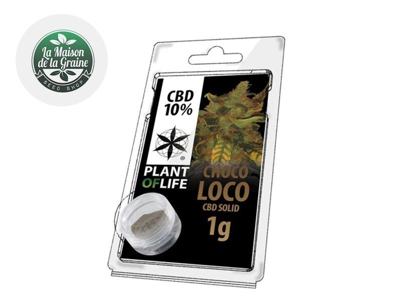 Haschich CBD Pollen Chocoloco CBD 10% Plantoflife