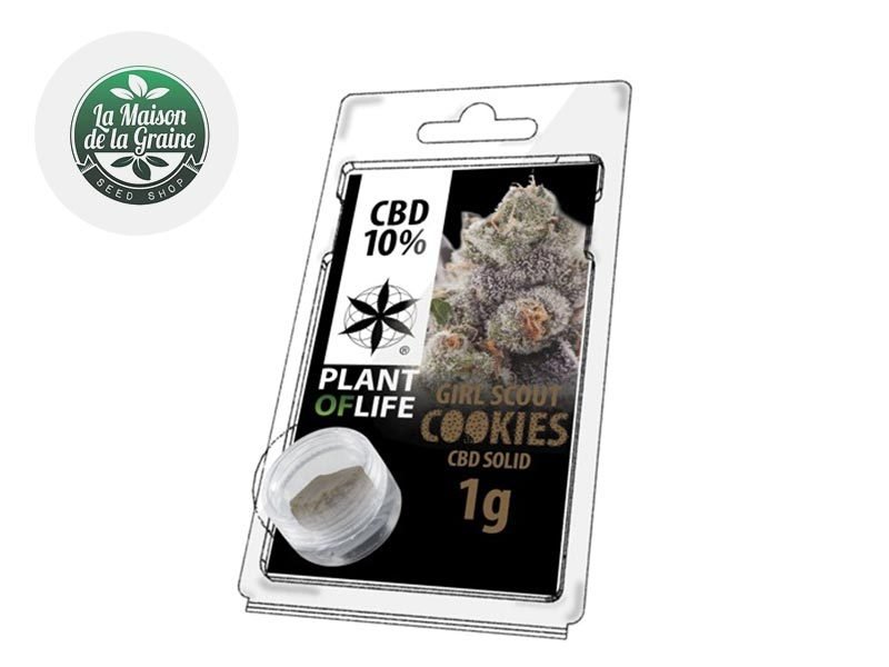 Haschich CBD Pollen Girl Scout Cookies CBD 10% Plantoflife