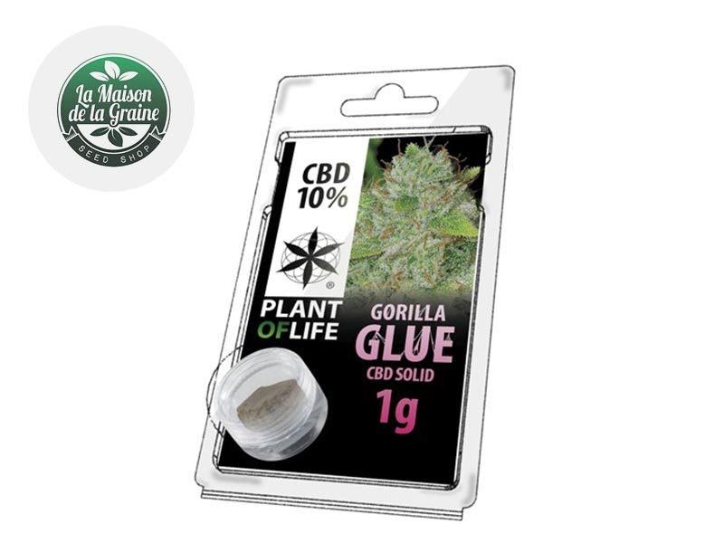 Haschich CBD Pollen Gorilla Glue CBD 10% Plantoflife