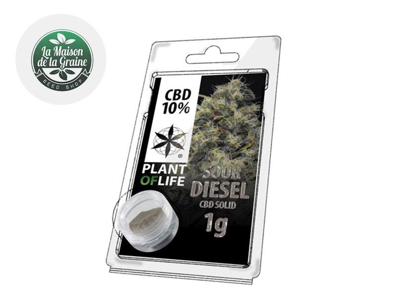 Haschich CBD Pollen Sour Diesel CBD 10% Plantoflife