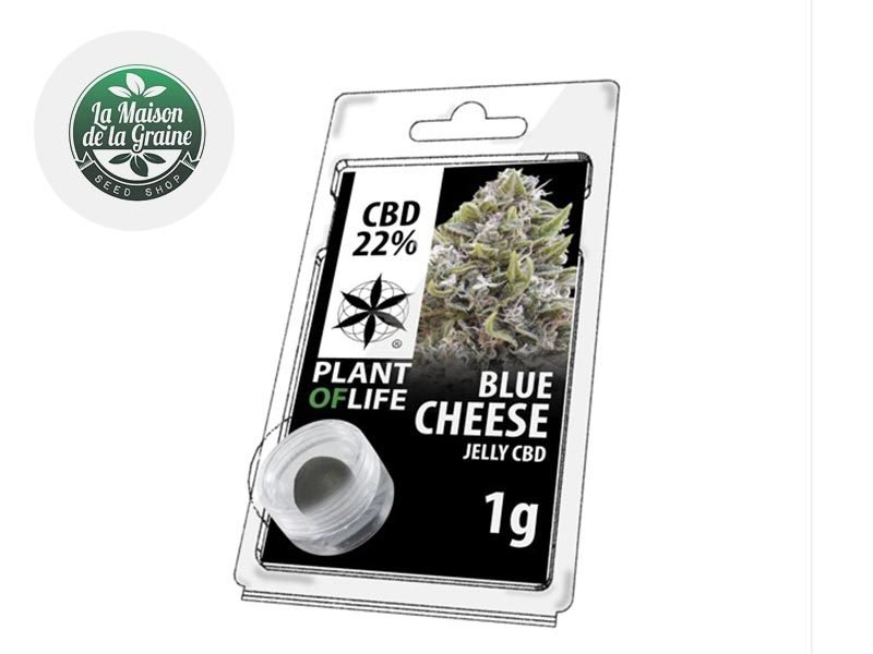 Haschich CBD Résine Blue Cheese CBD 22% Plantoflife