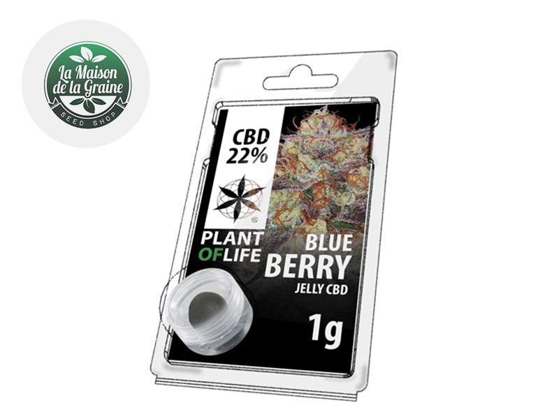 Haschich CBD Résine BlueBerry CBD 22% Plantoflife