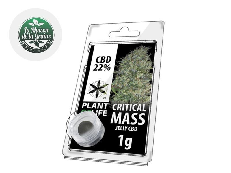 Haschich CBD Résine Critical Mass CBD 22% Plantoflife