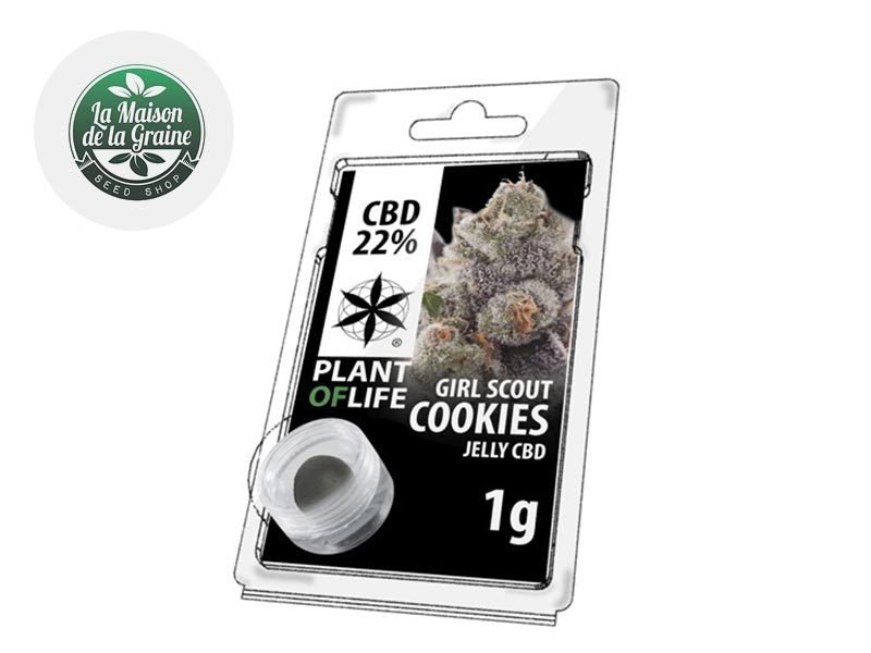 Haschich CBD Résine Girl Scout Cookies CBD 22% Plantoflife