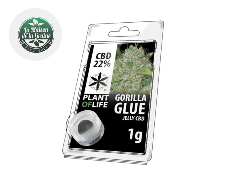 Haschich CBD Résine Gorilla Glue CBD 22% Plantoflife