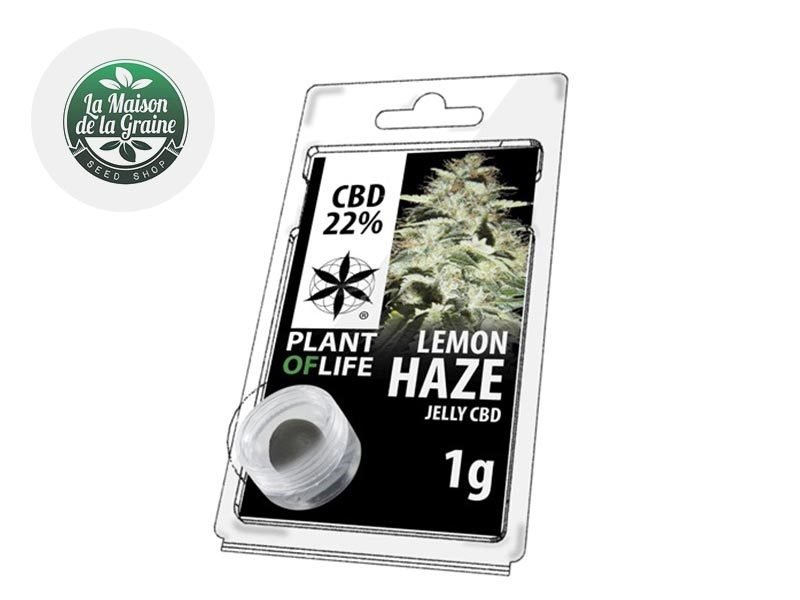 Haschich CBD Résine Lemon Haze CBD 22% Plantoflife