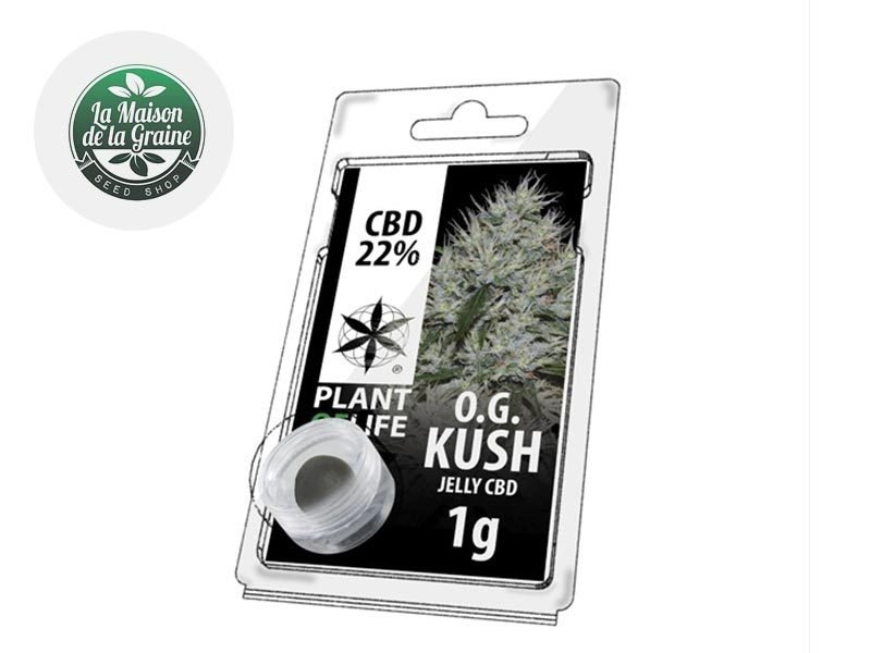 Haschich CBD Résine OG Kush CBD 22% Plantoflife