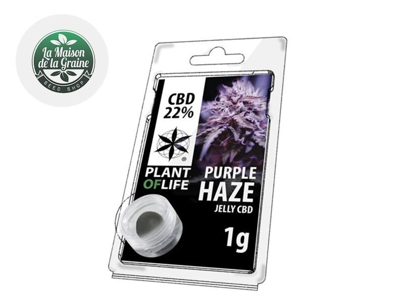 Haschich CBD Résine Purple Haze CBD 22% Plantoflife