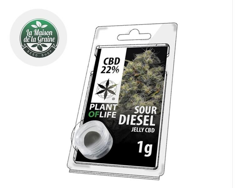 Haschich CBD Résine Sour diesel CBD 22% Plantoflife