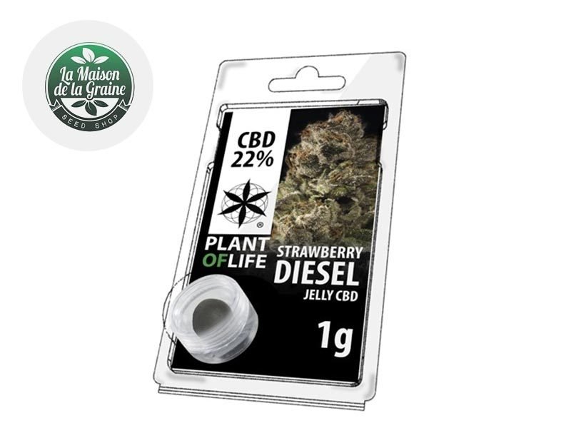 Haschich CBD Résine Strawberry CBD 22% Plantoflife
