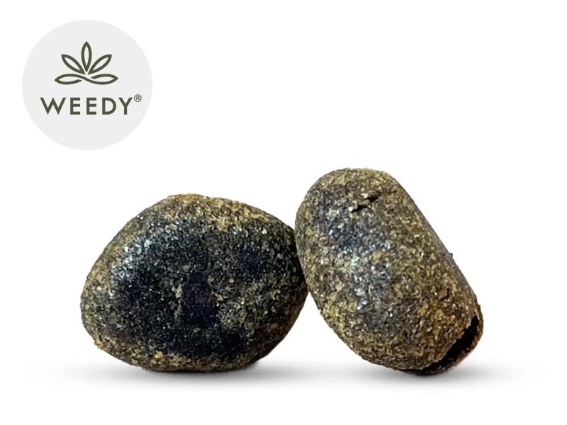 Haschich CBD Résine Mango Kush CBD 12% Weedy