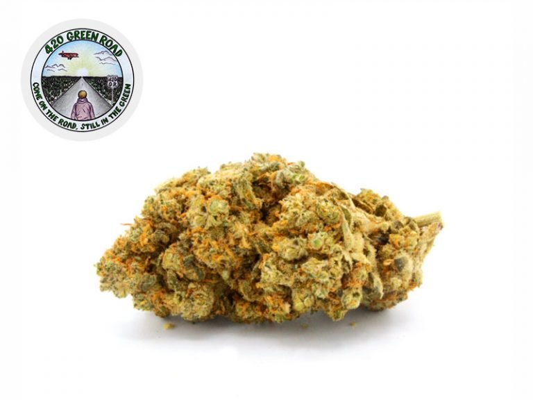 Fleurs CBD Fleur Orange Bud Hydroponie CBD Indoor 27% 420 Green Road