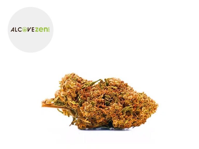 Fleurs CBD Fleur Girl Scout Cookie CBC Sous serre 20% Alcovezen