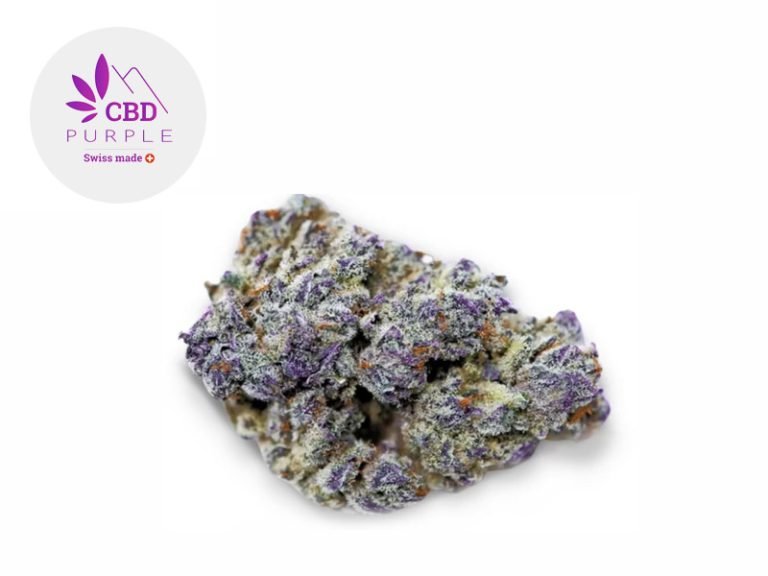 Fleurs CBD Fleur Blue Dream Kush CBD Indoor 16% CBD Purple