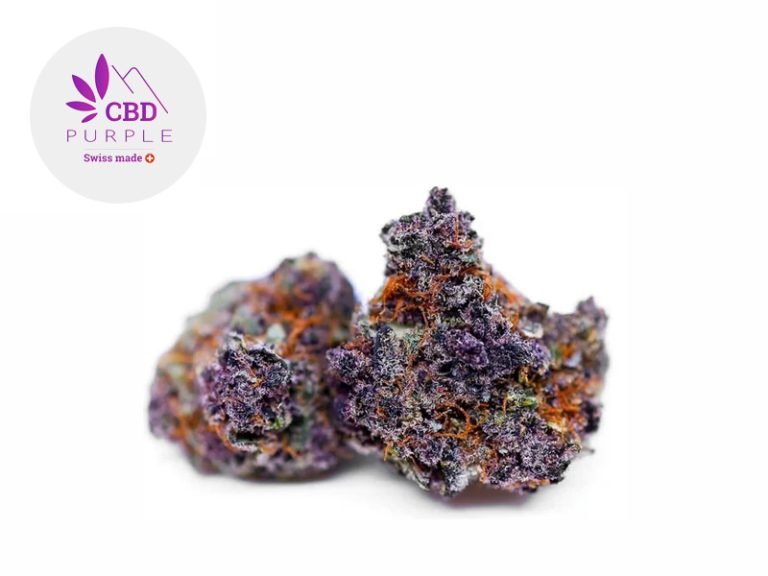 Fleurs CBD Fleur Purple Punch CBD Sous serre 12% CBD Purple