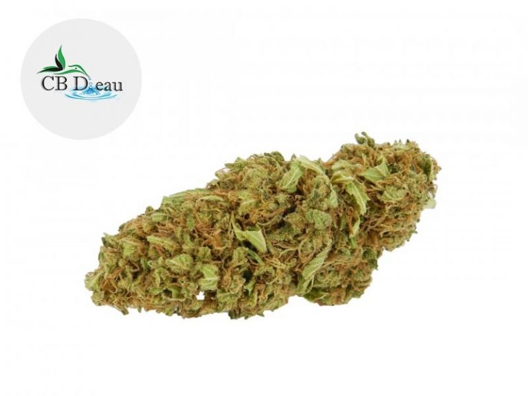 Fleurs CBD Fleur New York Cookies CBD Indoor 5% CBDeau