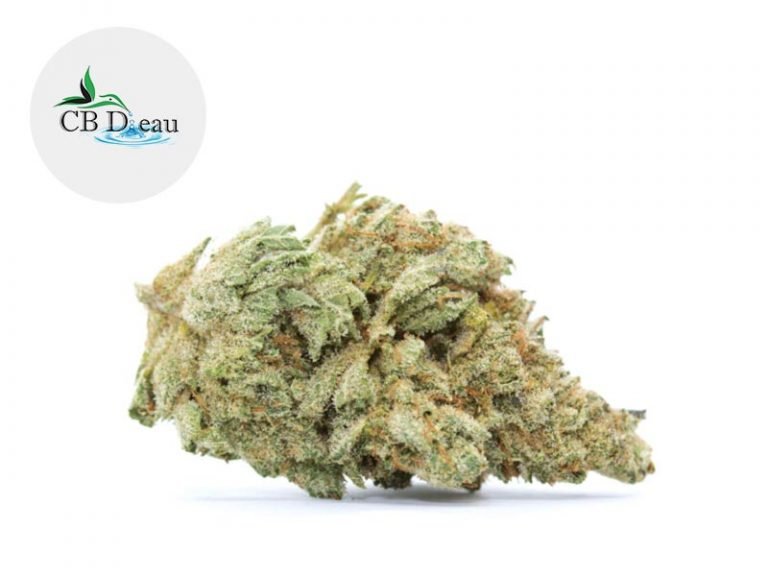 Fleurs CBD Fleur White Widow CBD Indoor 5% CBDeau