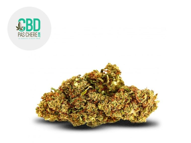 Fleurs CBD Fleur Critical Haze MSC Indoor 15% CBD Pas Chère