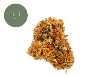 Fleurs CBD Fleur Lemon Candy CBD Sous serre 16% Deli Hemp