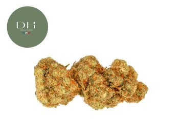 Fleurs CBD Fleur Vanilla Kush CBD Hydroculture 11.5% Deli Hemp