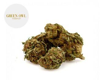 Fleurs CBD Fleur Banana CBD Indoor 15% Greenowl