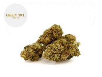 Fleurs CBD Fleur Skywalker CBD Indoor 17% Greenowl