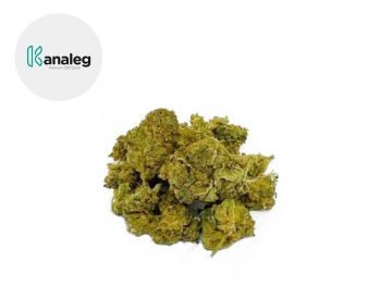 Fleurs CBD Fleur Apple Punch CBD Sous serre 3.9% Kanaleg