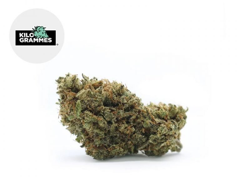 Fleurs CBD Fleur Junky Milk CBD Indoor 19.9% Kilogrammes