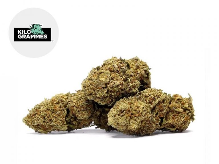 Fleurs CBD Fleur Lemonade CBD Sous serre 16.7% Kilogrammes