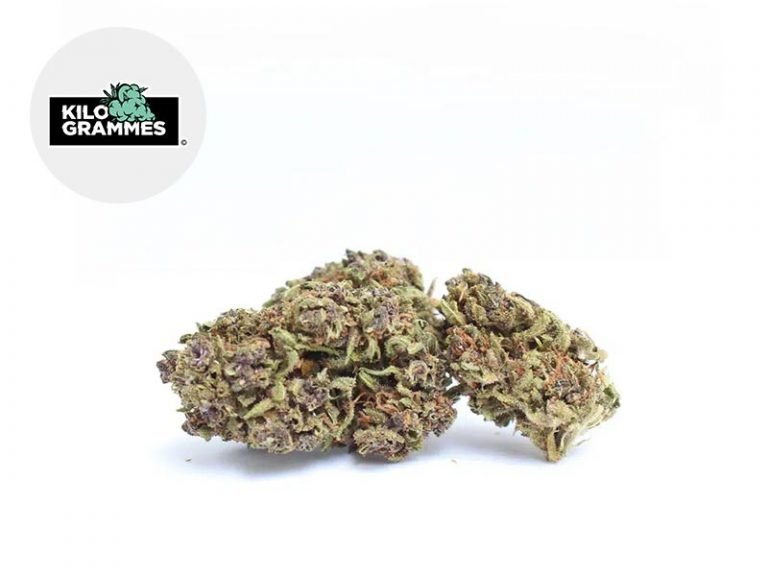 Fleurs CBD Fleur Purple Haze CBD Sous serre 15% Kilogrammes