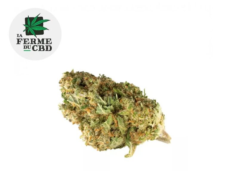 Fleurs CBD Fleur Amnesia CBD Indoor 14.5% La Ferme du CBD