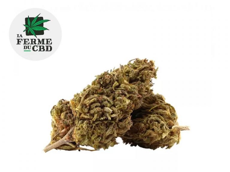 Fleurs CBD Fleur Mobydick CBD Outdoor 15% La Ferme du CBD