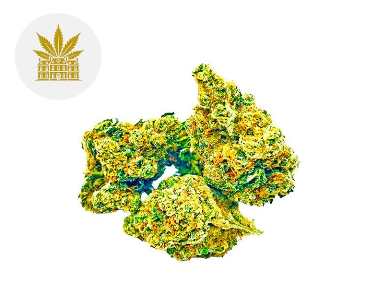 Fleurs CBD Fleur Amnesia Haze CBD Indoor 13% Maison Nassoy Le Baron