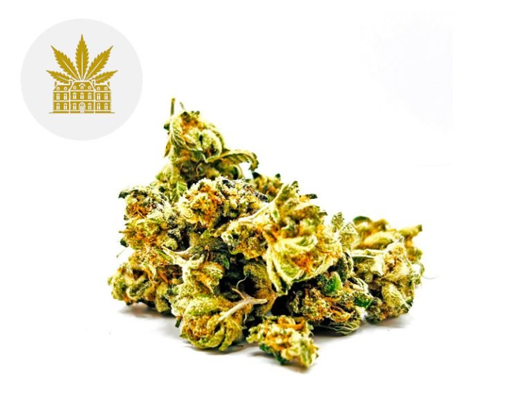 Fleurs CBD Fleur Lemon Grace CBD Indoor 8% Maison Nassoy Le Baron