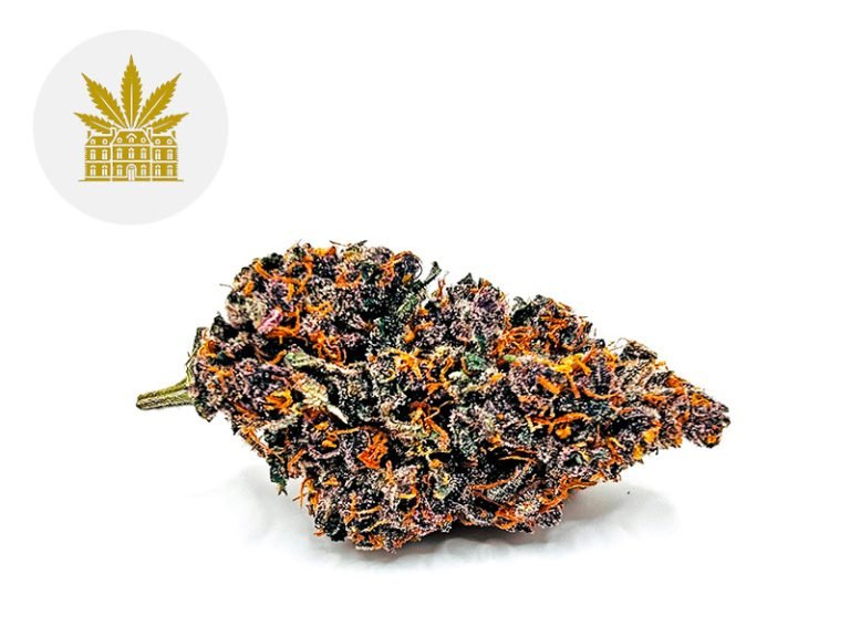 Fleurs CBD Fleur Tarmac CBD Indoor 3% Maison Nassoy Le Baron
