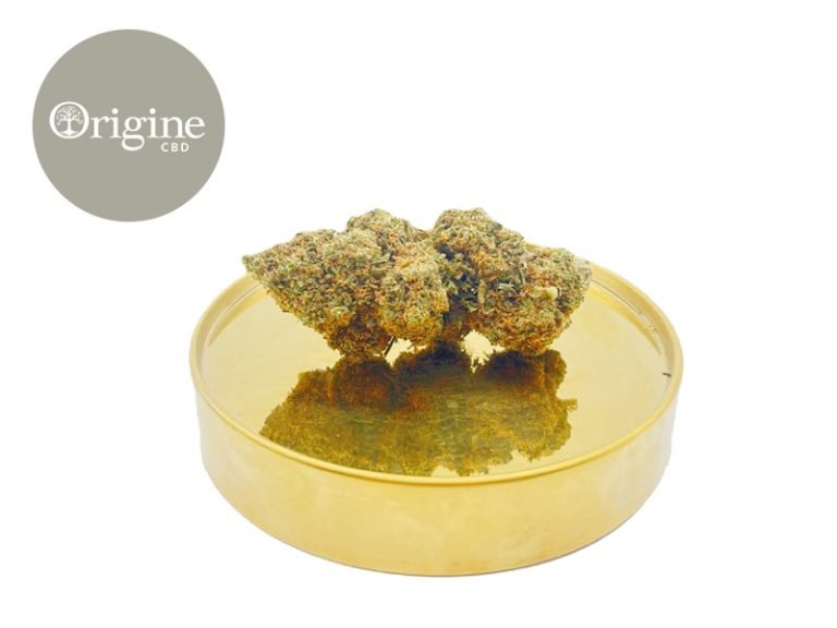 Fleurs CBD Fleur Amnesia Kush CBD Sous serre 11% Origine CBD