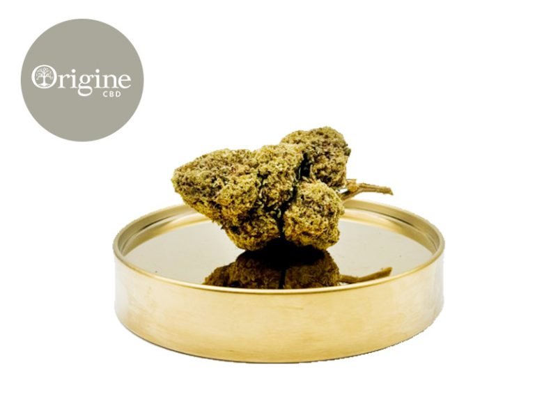 Fleurs CBD Fleur Ice Cream Cake USA CBD Indoor 11% Origine CBD