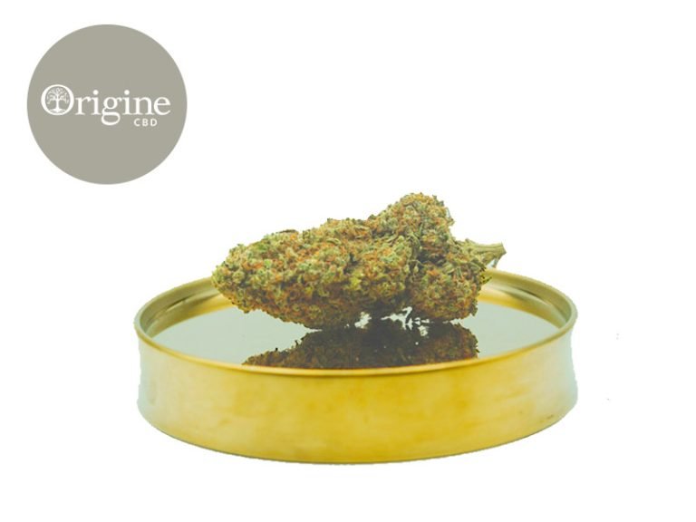Fleurs CBD Fleur Purple Haze CBD Indoor 11% Origine CBD