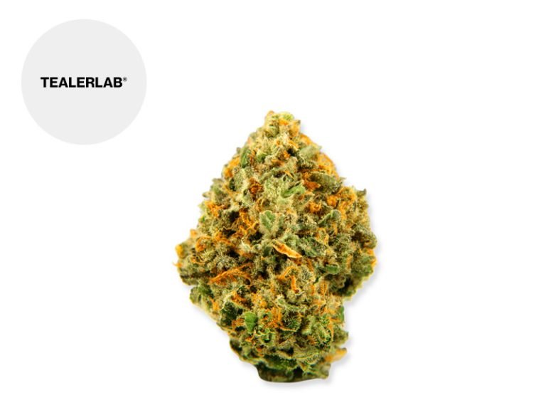 Fleurs CBD Fleur Lemon Haze Calilab CBD Indoor 30% TealerLab