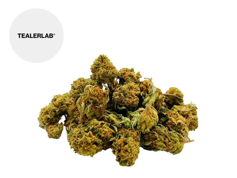 Fleurs CBD Fleur SmallBerry Bud THC+ Indoor 23% TealerLab