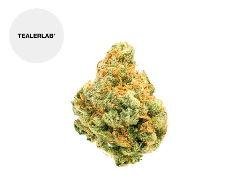 Fleurs CBD Fleur Zkittlez CBD Indoor 23% TealerLab